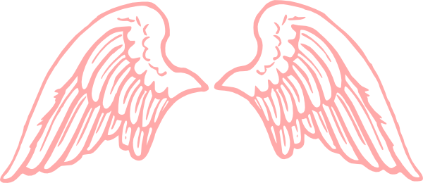 Angel Wings Png (600x260)