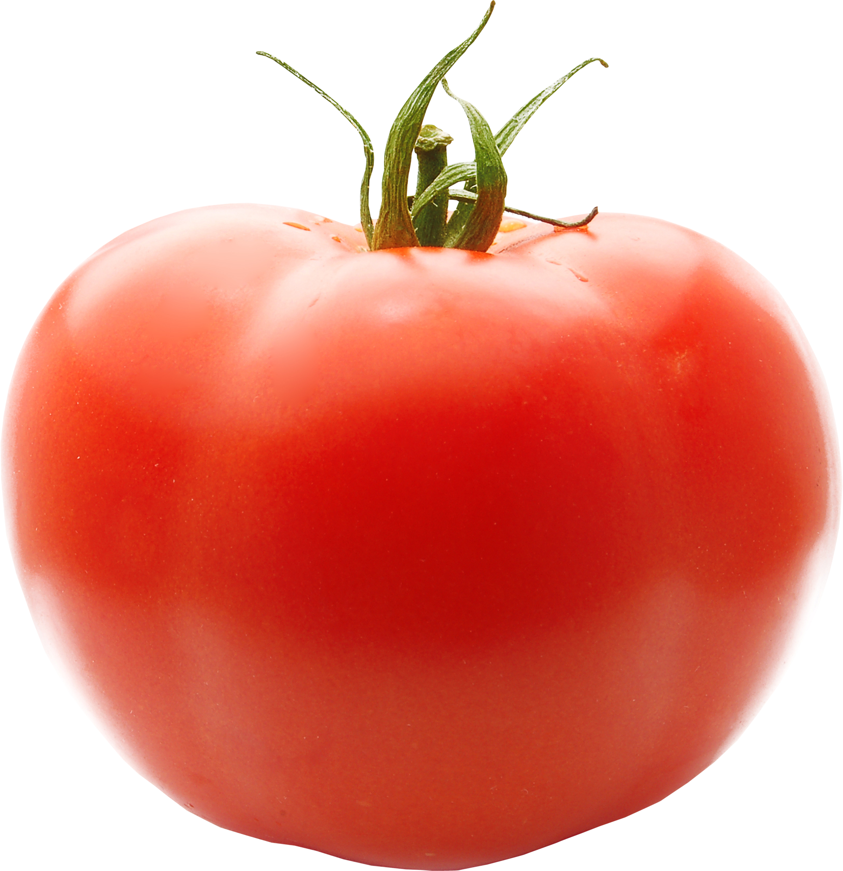 Tomato Clipart No Background Clip Art Of - Tomato Transparent Background (1710x1767)