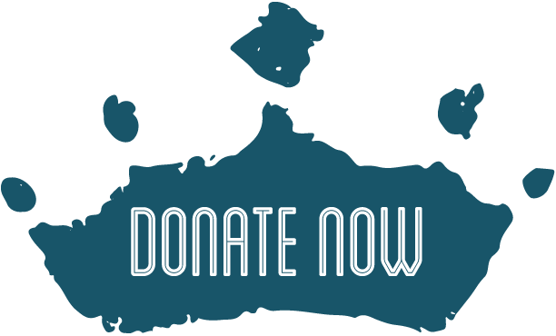 2016 Millie's Princess Foundation - Graphic Design (612x370)