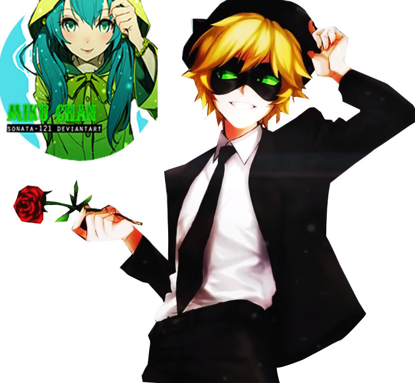 Chat - Miraculous Cat Noir Render (832x768)