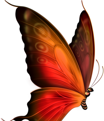 Bof⋅ⵣ [ - - ] @bof@mstdn - Fr - Transparent Butterfly (400x400)