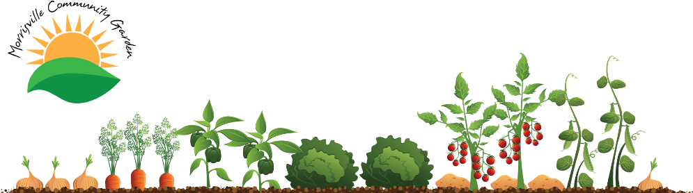 Community Clipart Community Gardening - Vegetable Garden Illustration (1000x288)