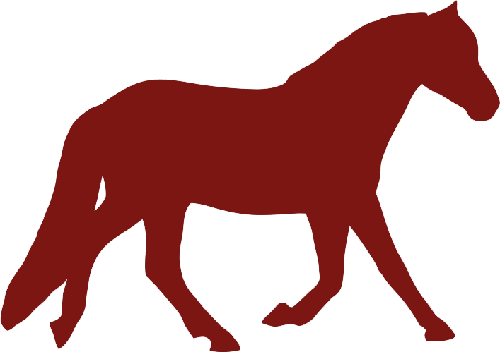 Ve Lo Vtt Randonne E Peche Tennis Cheval Ulm Accrobranche - Horse (707x499)