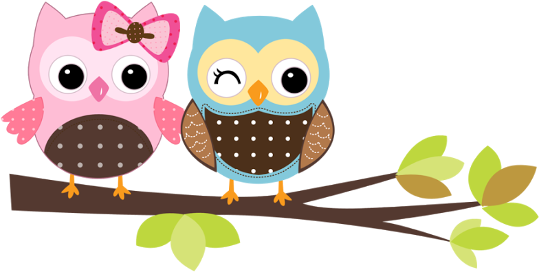 Álbuns Da Web Do Picasa - Coruja No Galho Png (800x533)