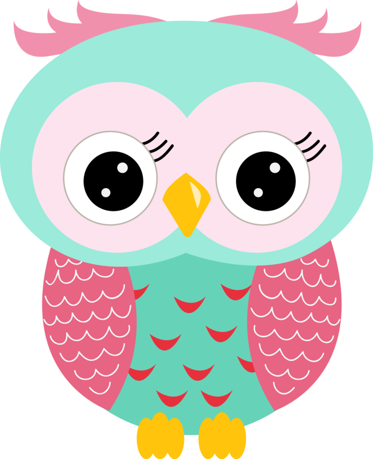 Coruja Rosa E Azul - Pink And Teal Owl (732x900)