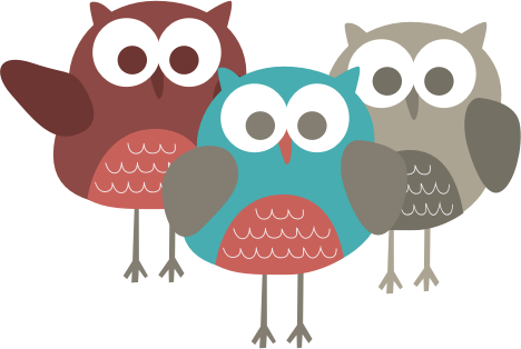 Il Owl Family - Owl (468x314)
