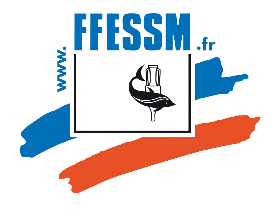 Rectangle À Coins Arrondis Logo Ffessm Fond Transparent - Fédération Française D'études Et De Sports Sous-marins (954x716)