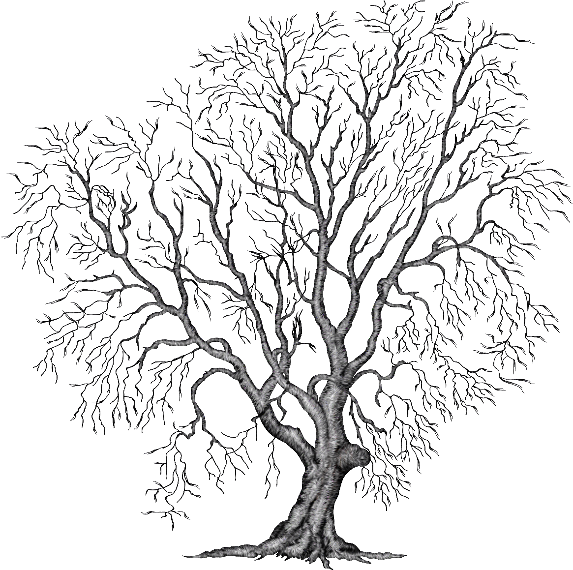 Painting Tree Clipart Illustration Png File Autumn - Winter Tree Clipart (1164x1214)