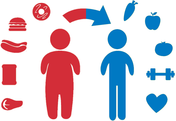 Consultations Nutritionniste Luxembourg - Healthy Lifestyle Vector Png (600x418)