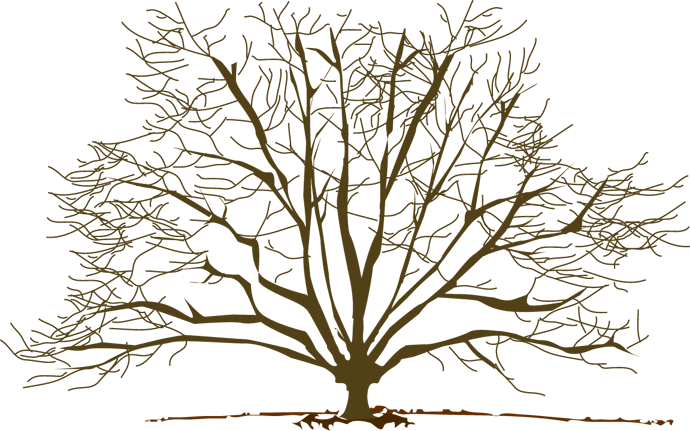 Winter Tree Free Clip Art - Winter Tree Clip Art (690x431)