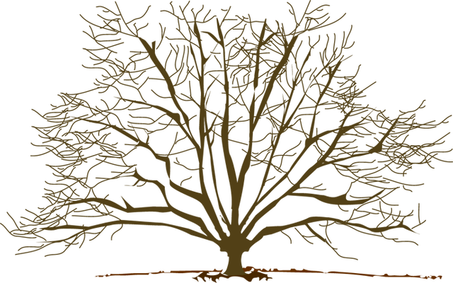 Winter Tree Clipart - Winter Tree Clip Art (640x400)