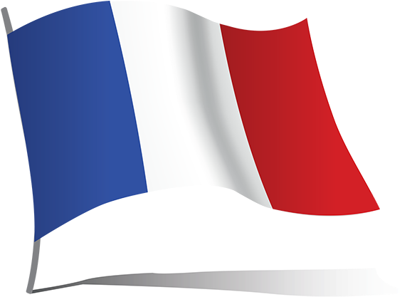 Drapeau France - Drapeau France (591x591)