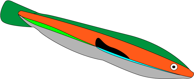 Timetable - Timetable (663x274)