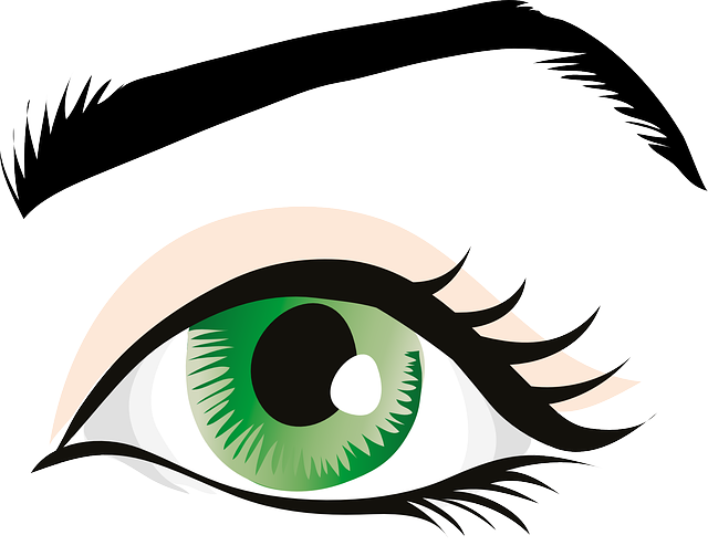 Green Eyes, Eyelid, Iris, Eyebrows, Brows, Seeing - Human Eye Clip Art (640x503)