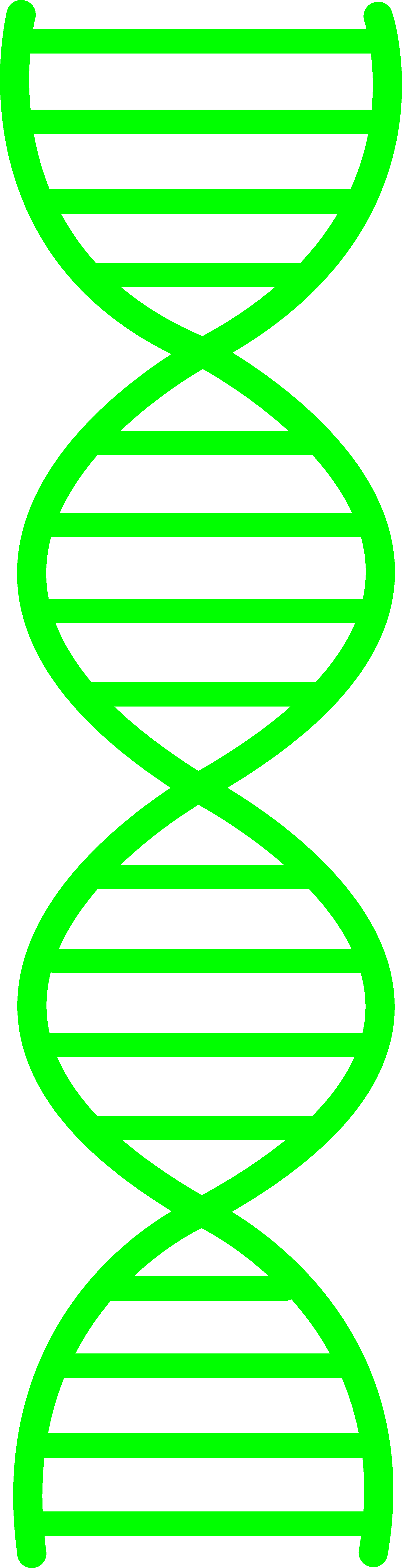 Fifa 14 Ultimate Team Android Coin Hack No Survey - Dna Double Helix Png (1722x6709)