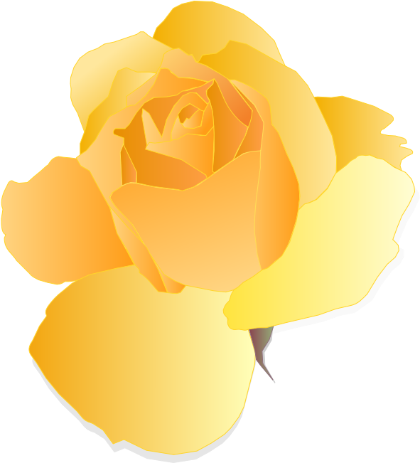 Banque D Images Gratuites Et Libres De Droits19 - Clip Art (680x750)