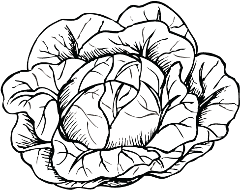 Packaged Salads, Re-imagined - Vegetable (500x397)