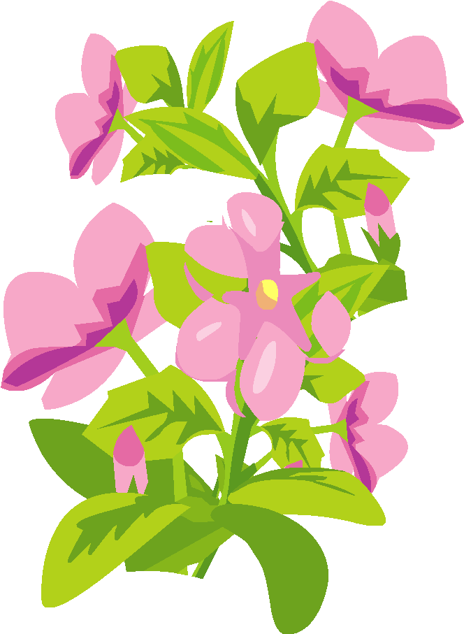 Marguerittes - Periwinkle (1000x1000)