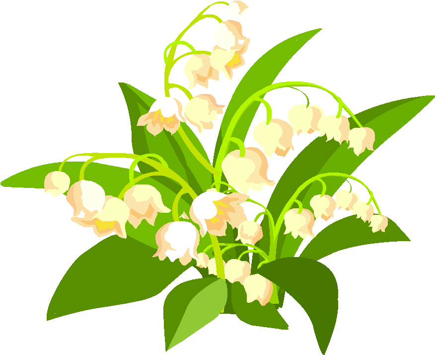 Marguerittes - Lily Of The Valley (1000x1000)