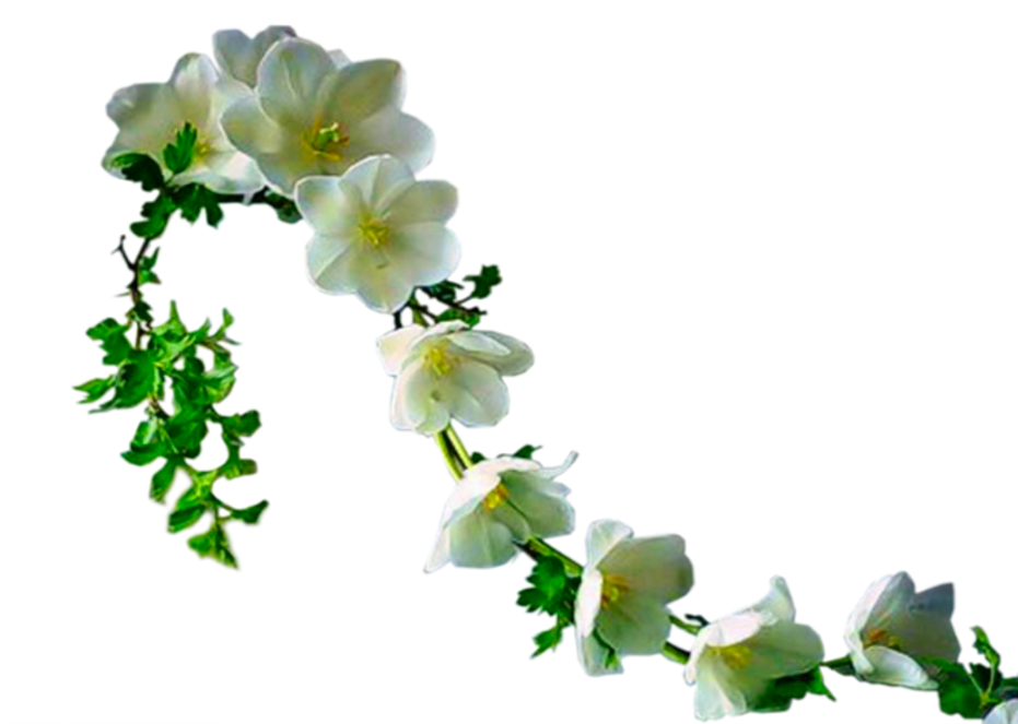 Psp - Зеленые Цветы Пнг (979x700)