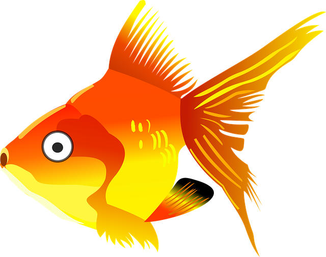 Goldfish Clipart Kartun - Gold Fish Cartoon Png (640x505)