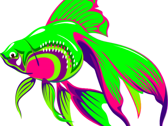 Goldfish Clipart Rainbow - Ikan Mas Animasi Bergerak (640x480)