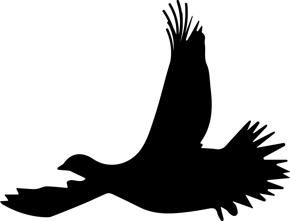 Png File - Bird Flying Drawing Png (981x746)