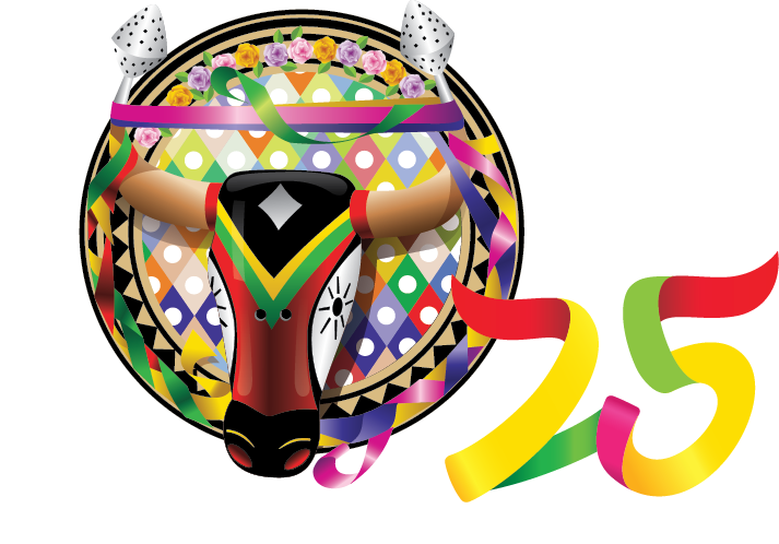 Patrimonio Cultural Inmaterial De La Humanidad - Carnaval Sa (713x498)