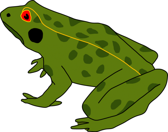 Cycle De La Grenouille, Grenouille - Life Cycle Of A Frog (573x450)