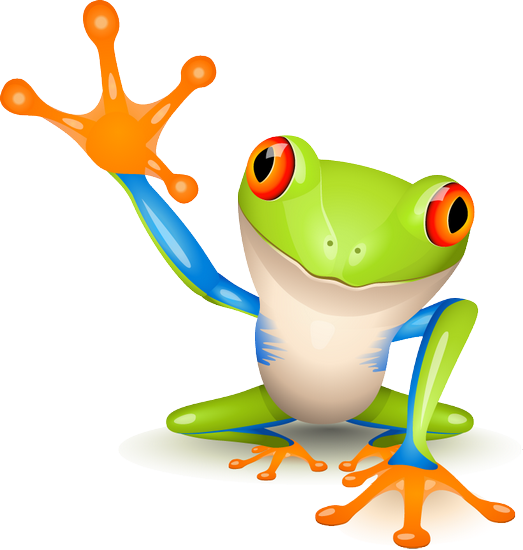 Grenouille Tiram 139 Grenouille Tiram 140 Grenouille - Red Eyed Tree Frog Clipart (523x550)