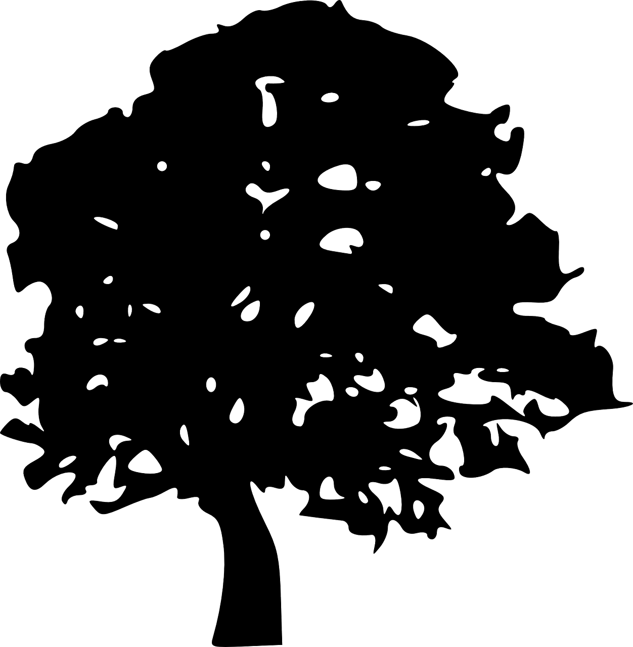 Tree Tree Silhouette Tree Trunk Png Image - Cartoon Tree Silhouette Png (1252x1280)