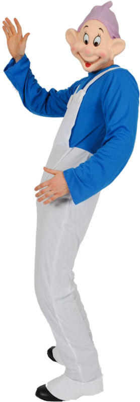 Adult Dopey Seven Dwar - Costume (500x793)