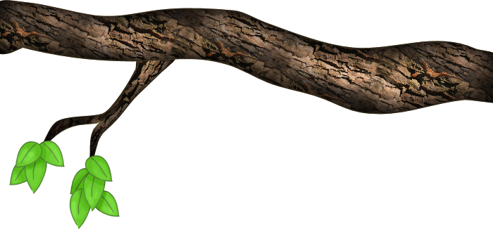Treebranch 1 Photo By Winterberry2 - Rock Python (700x326)