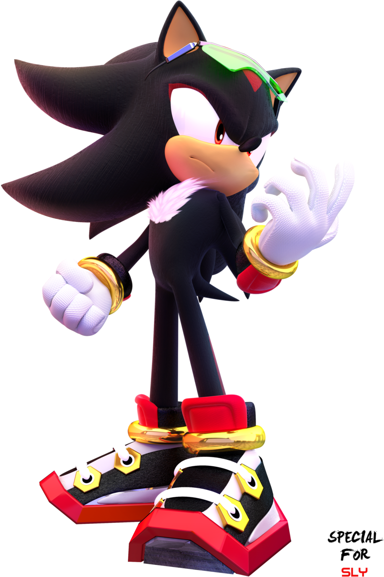 Shadow The Hedgehog Riders By Fentonxd-d5vxwed - Shadow The Hedgehog Riders (800x1163)