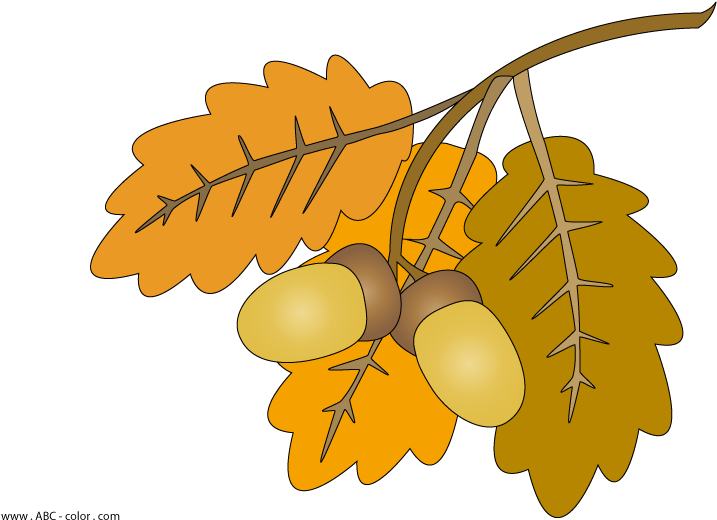 Download Bitmap Clipart Oak Leaves - Желудь Рисунок Png (822x567)