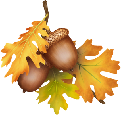 Gem's Cottage Blog Â» Blog Archive » Week - Oak Leaves With Acorns (450x460)