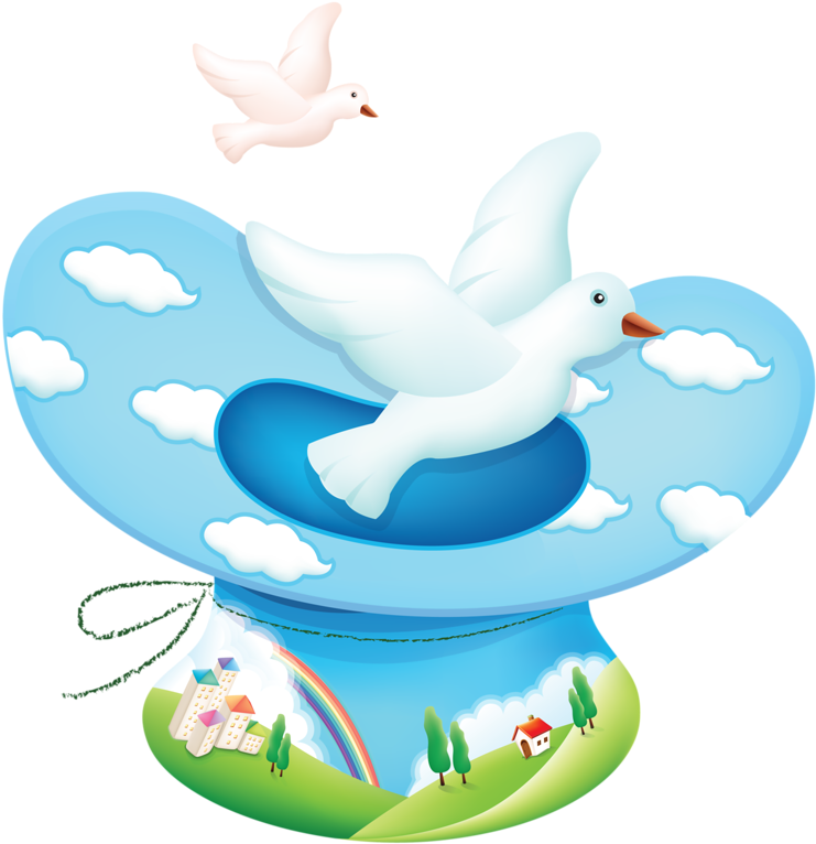 Magician Hats - Rock Dove (800x777)