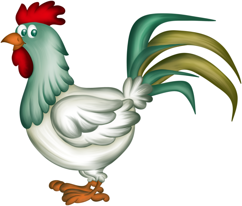 Coq Rigolo - Coq Gif Animé (800x681)