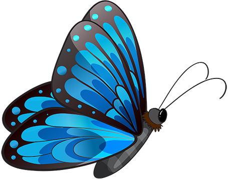 Butterfly - Colorful Butterfly Throw Blanket (455x356)