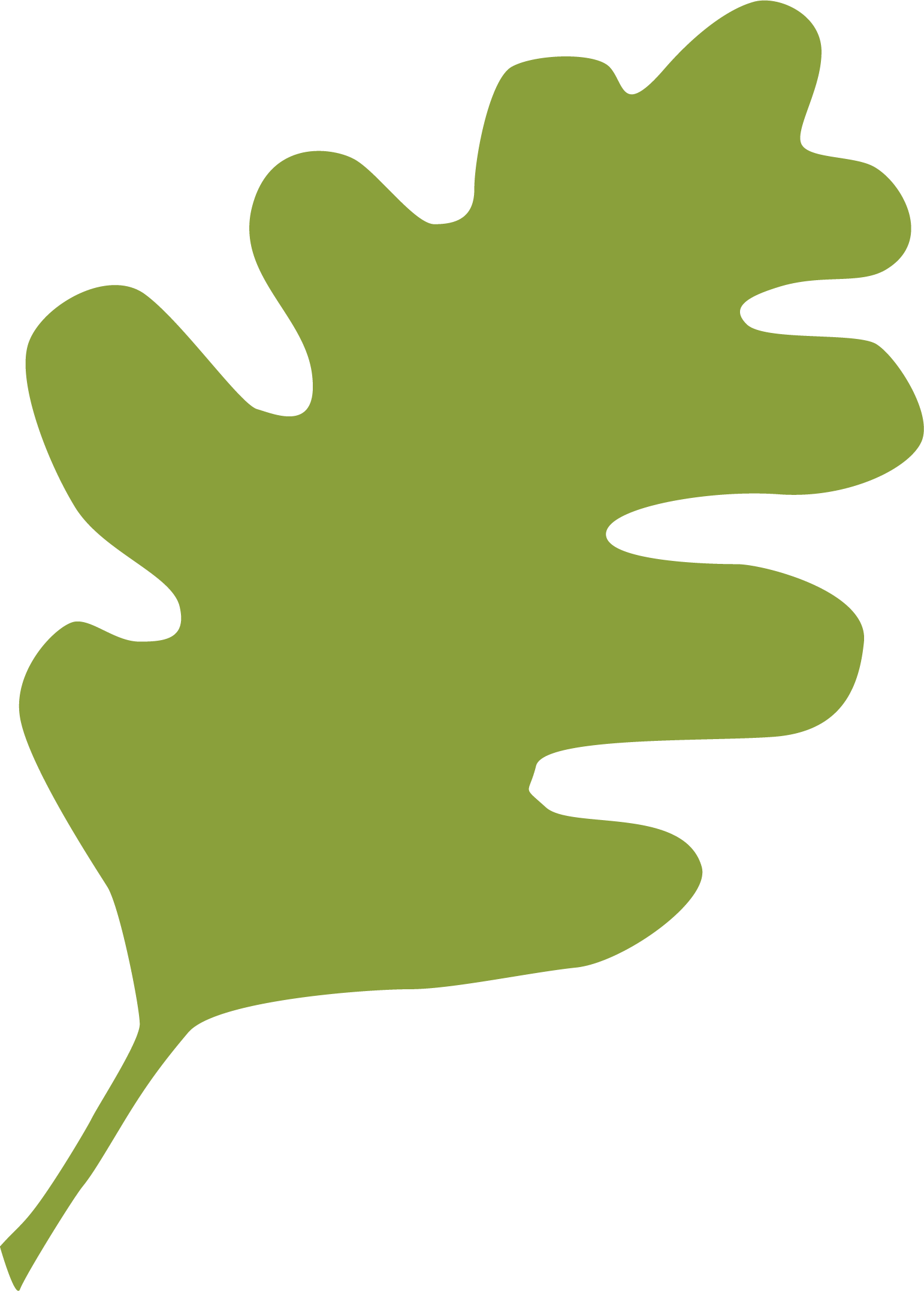 Green Live Oak Leaf - Live Oak Chicago (1542x2152)