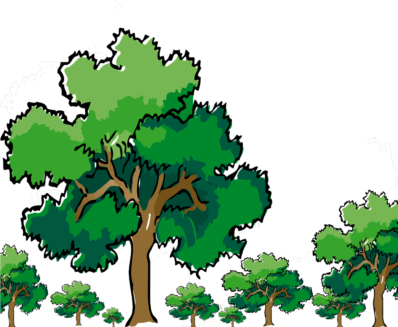Oak Tree Clipart 20, - Oak Tree Clip Art (1280x1135)