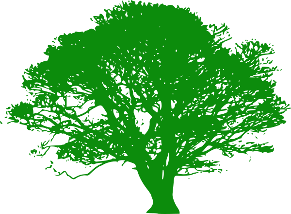 Green Oak Tree Clip Art At Clker - Oak Tree Clip Art Black And White (600x440)