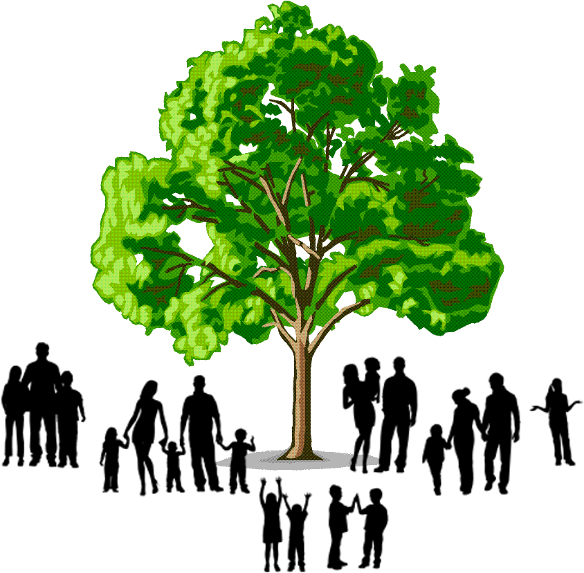 Image Result For Family Tree Logo - Example Of Hardwood Trees (864x840)
