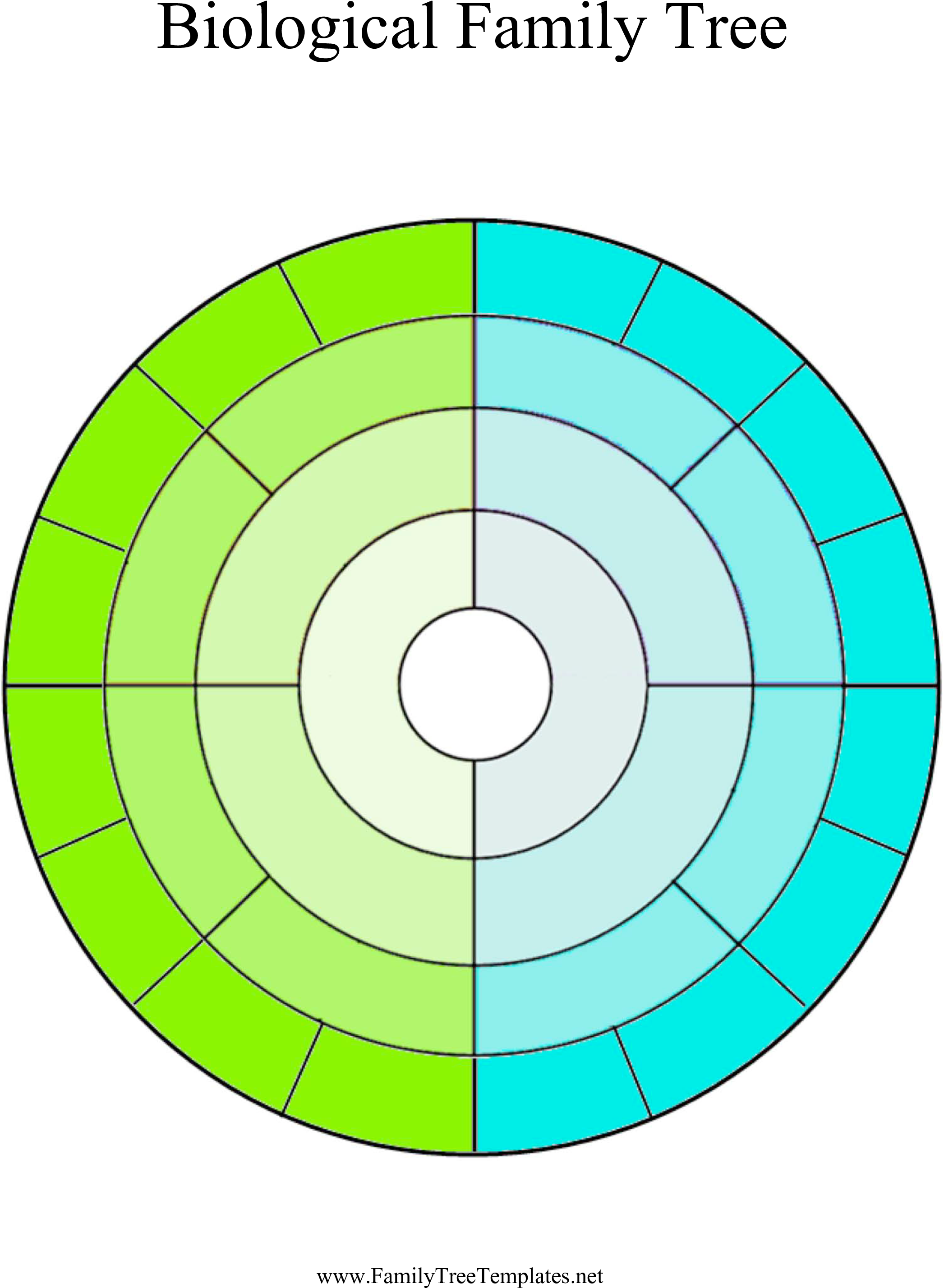 Circular Family Tree Main Image - Circle Family Tree Template (2550x3300)