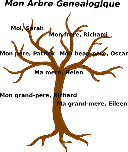 Family Tree Clip Art At Clker - Bare Tree Clip Art (504x596)