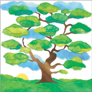 Family Tree Scrapbook Paper-hls101 - Family Tree For 12 (400x300)