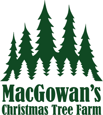 Ottawa Christmas Tree Farm Christmas Tree Farm Louisburg - Friggin Christmas Tile Coaster (338x377)