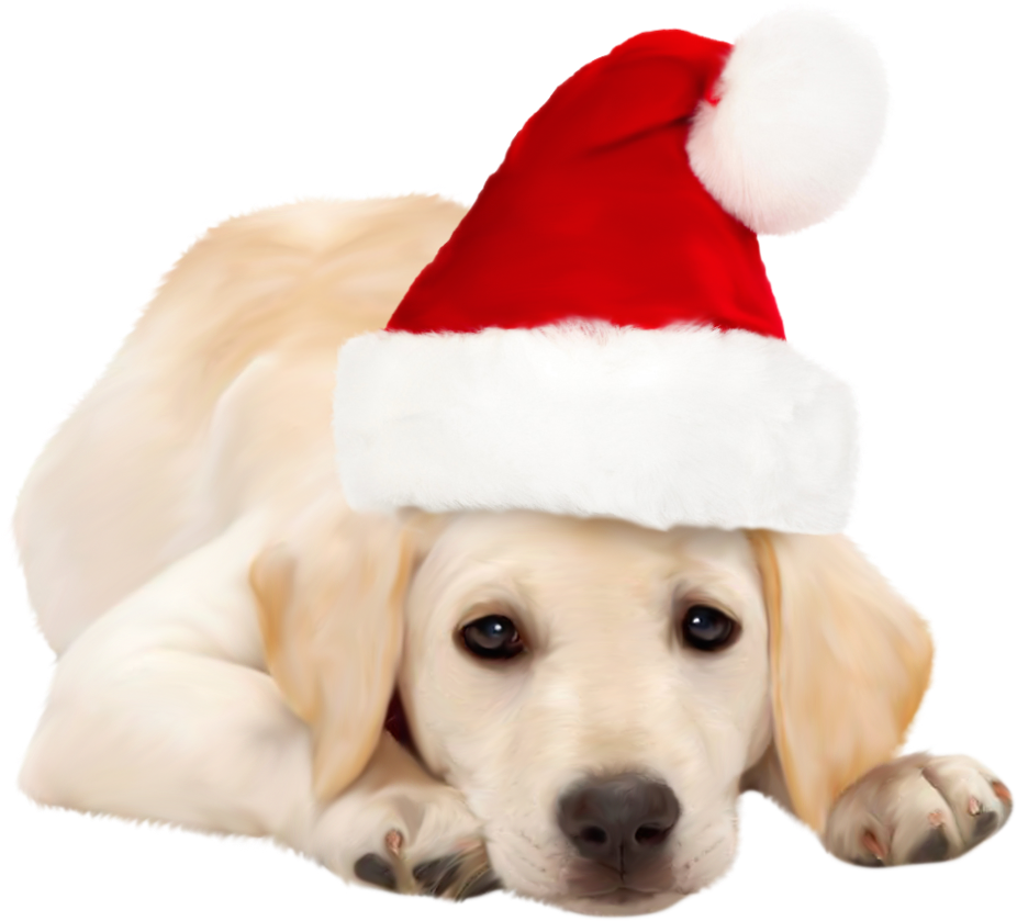 Dog With Santa Hat Png Clipart Best Web Clipart Dog - Golden Retriever Funny Animated Gifs (943x856)