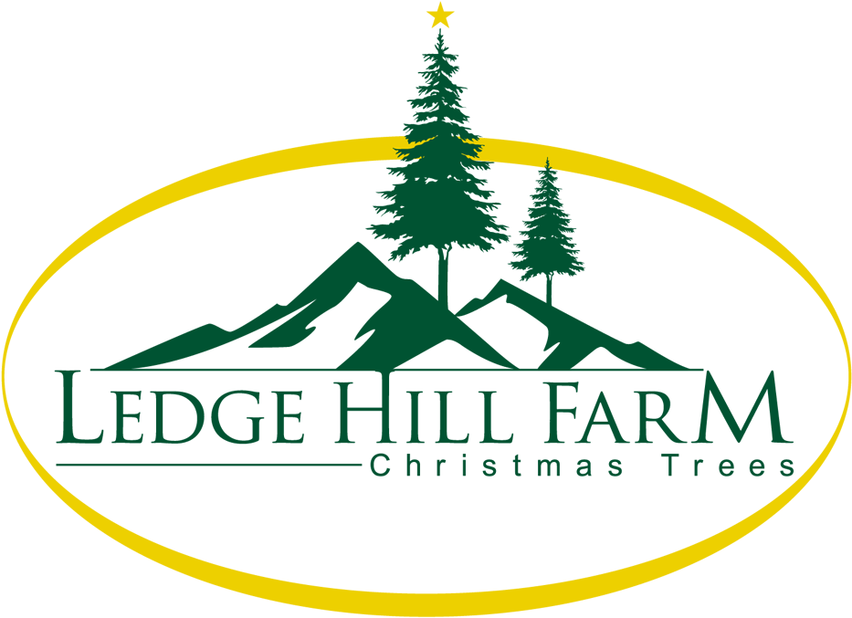 Lhf Logo - Christmas Tree Farm Logo (1000x743)