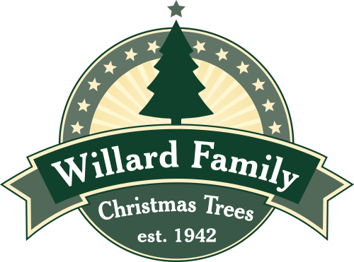 A Family Tradition Since - Christmas Tree (500x371)